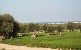 Masseria Ricci