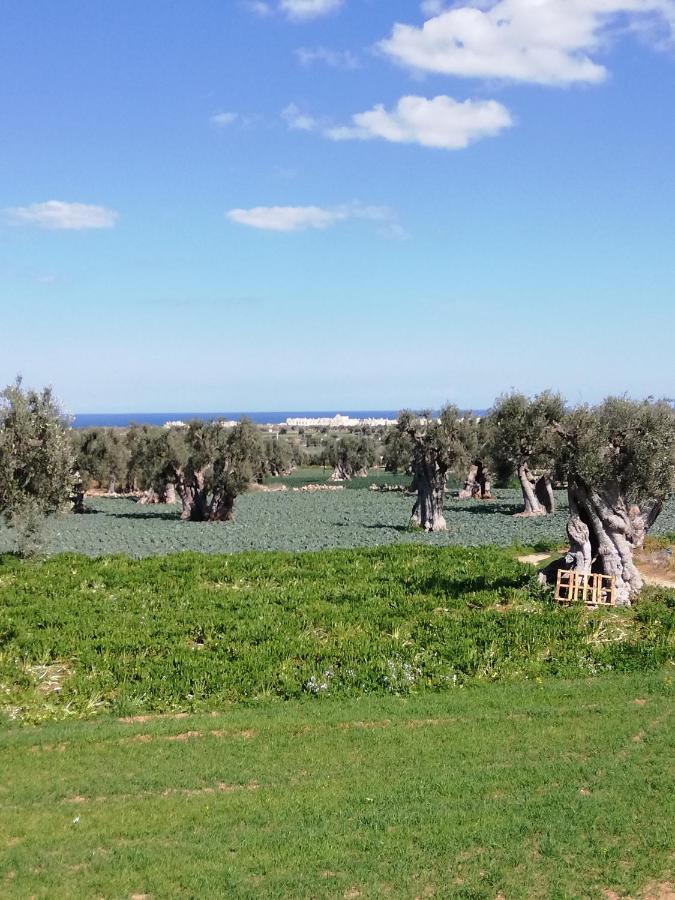 Masseria Ricci Fasano Extérieur photo