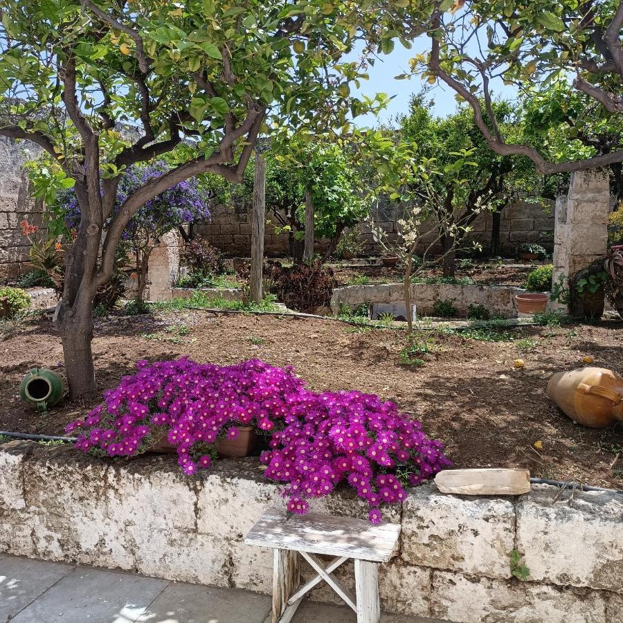 Masseria Ricci Fasano Extérieur photo