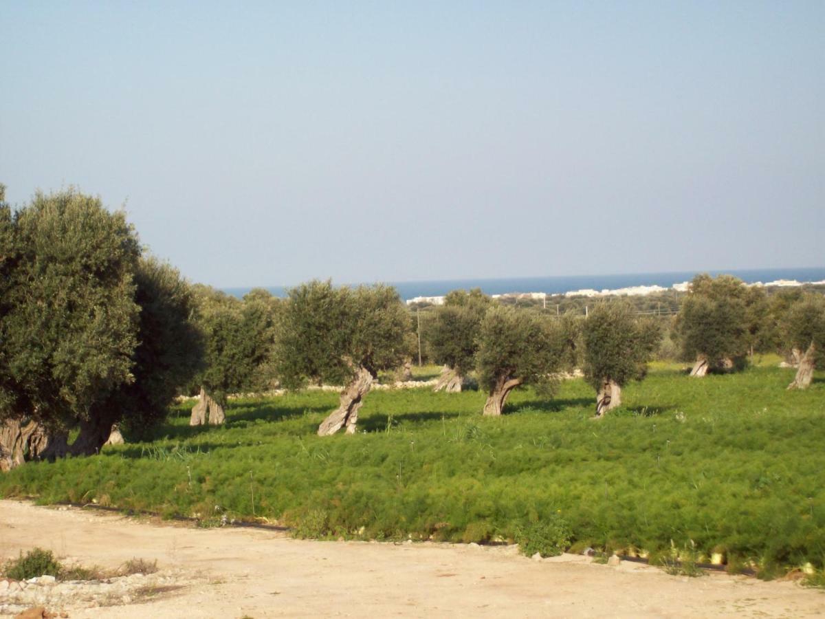 Masseria Ricci Fasano Extérieur photo